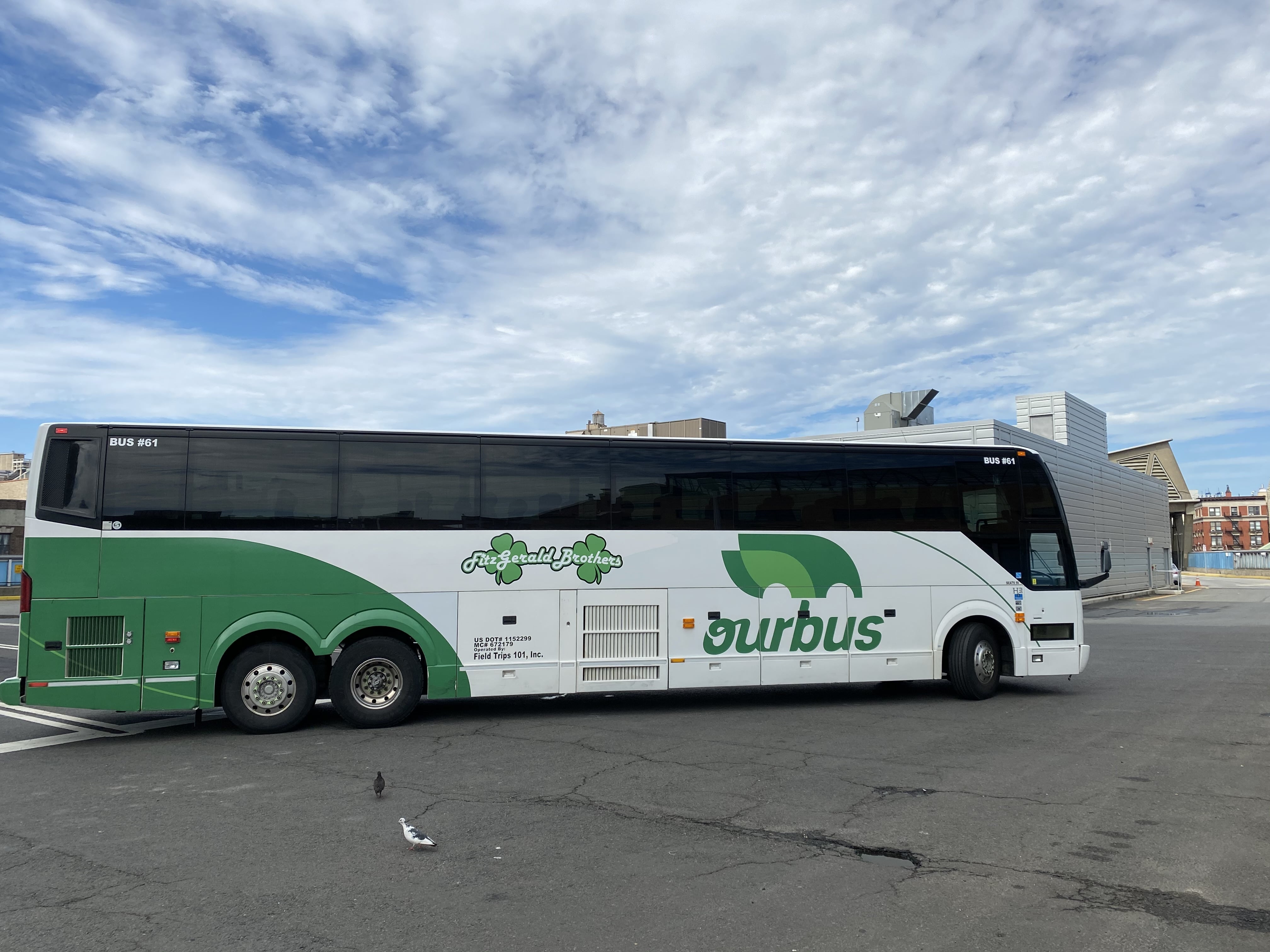 ourbus branded bus